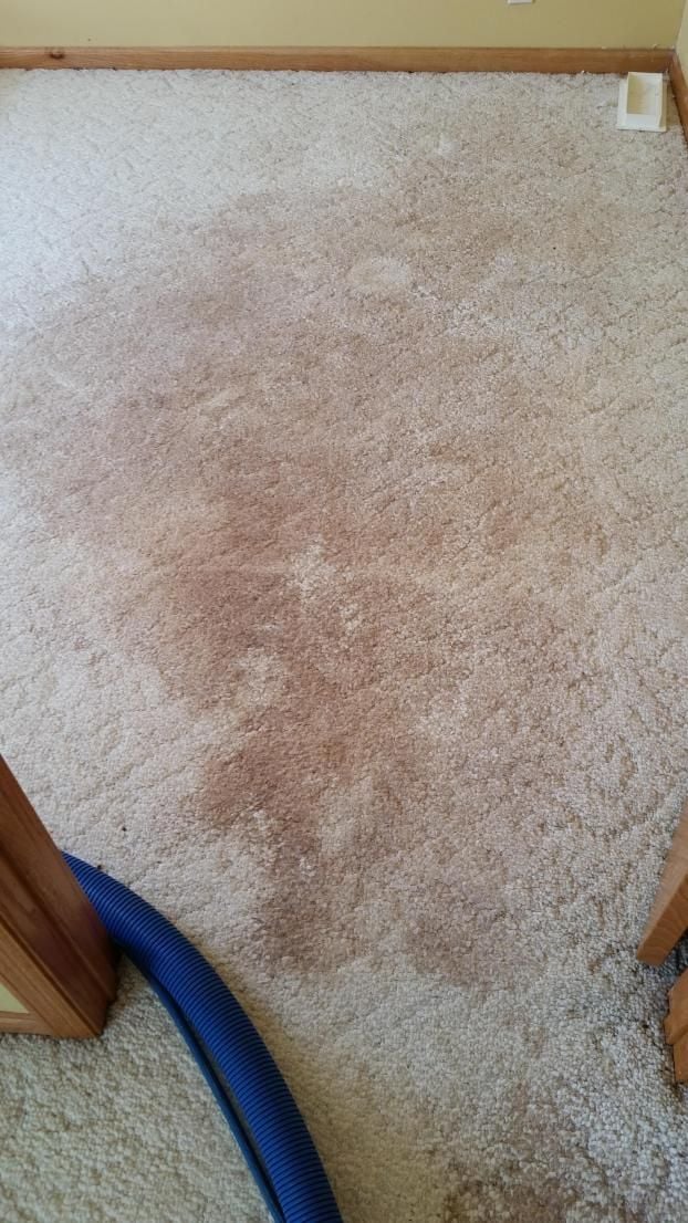 Before a completed carpet cleaning company project in the  area