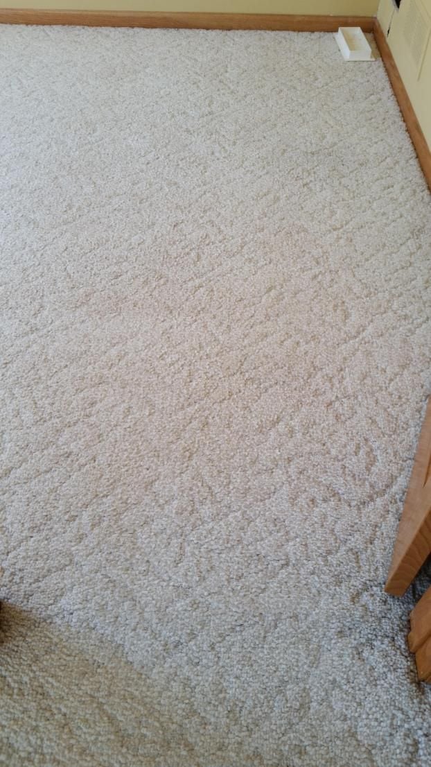 After a completed professional carpet cleaners project in the  area